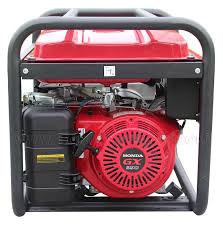 5. Backup Generator (Optional)