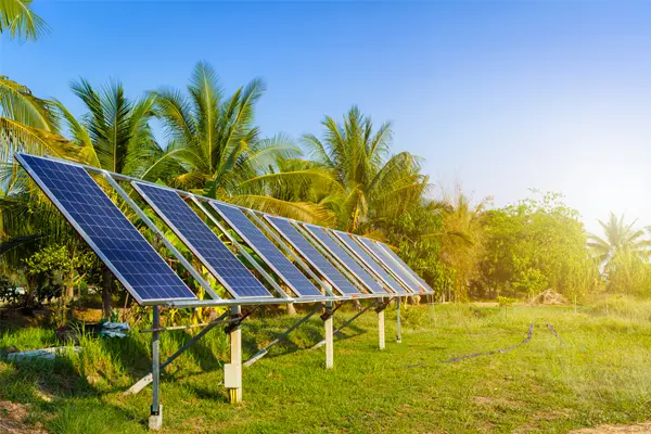 What Are Agricultural Solar Applications? 