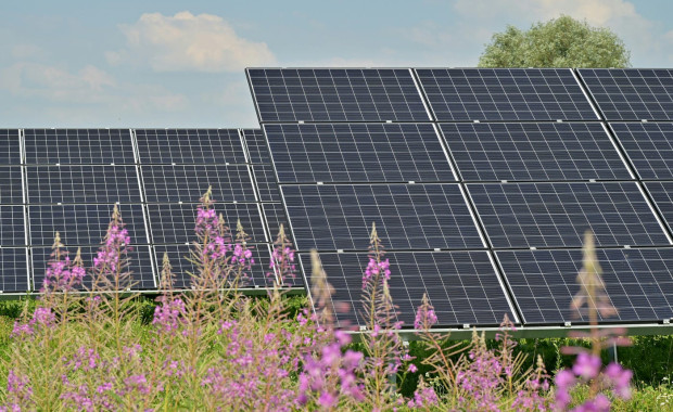 DREBP- A New Gateway for Decentralized Renewable Energy