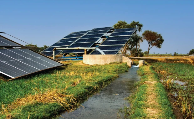 Agricultural Solar Market Dive: Powering Farms with Affordable and Efficient Solar Solutions