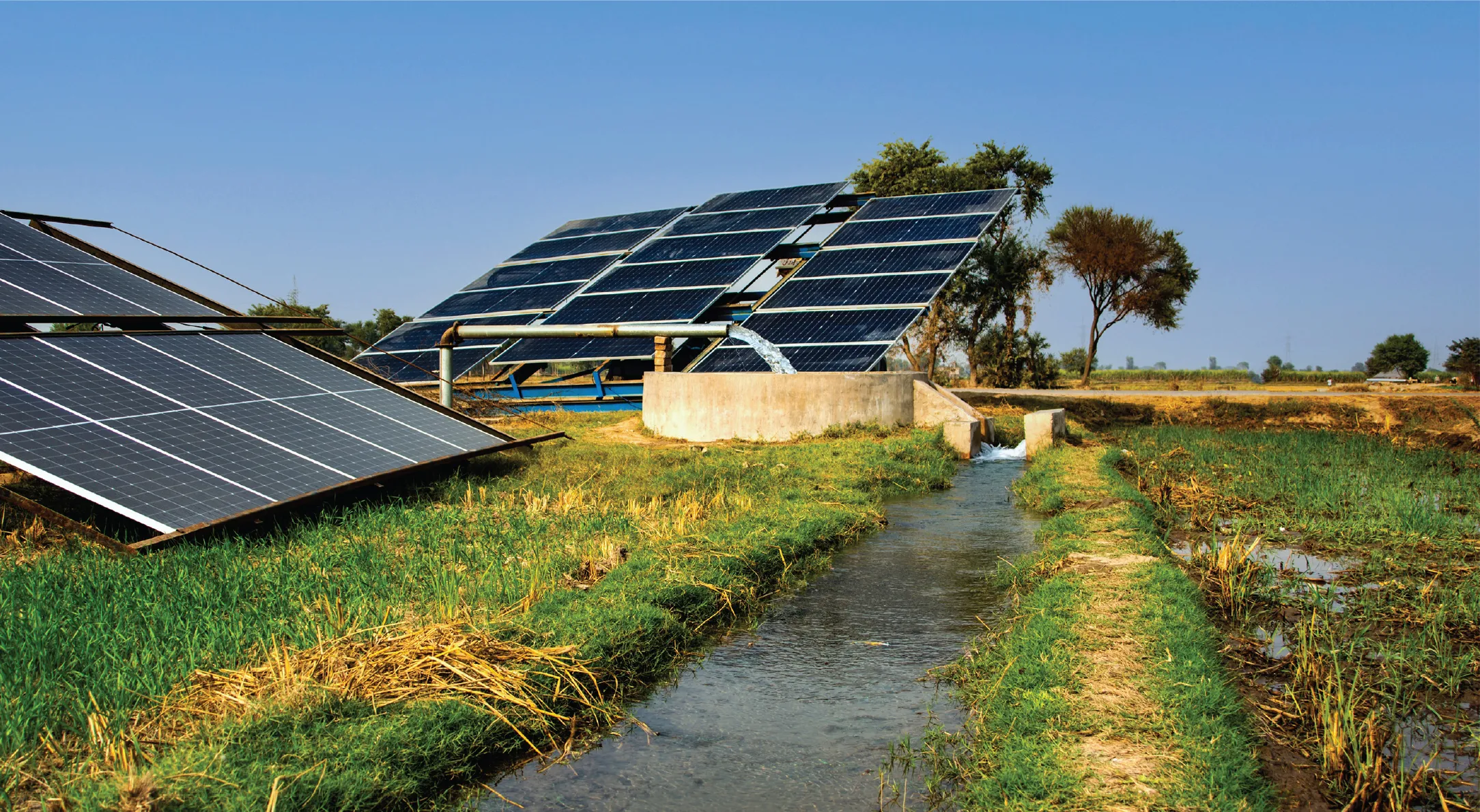 Agricultural Solar Market Dive: Powering Farms with Affordable and Efficient Solar Solutions