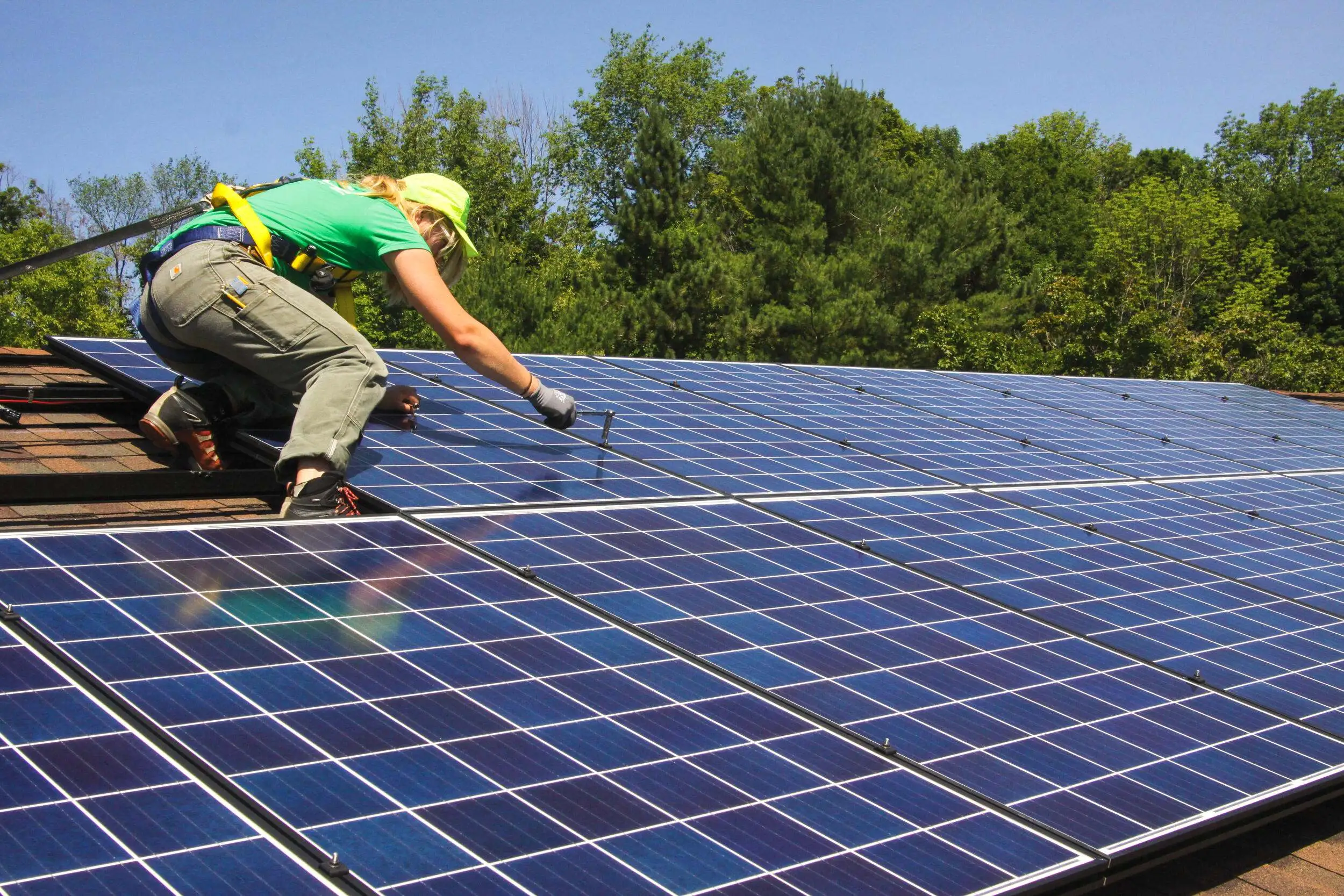 🌞 Empowering Communities Through Solar: School & NGO Activism in Action