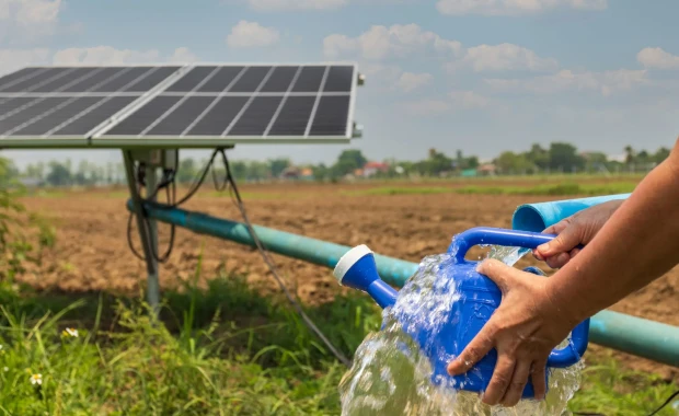 🌿 The Environmental Benefits of Solar Farms