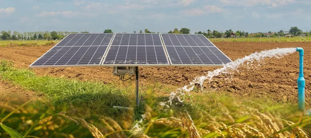 🌱 Business Install Spotlight: Agri-Pump Solar