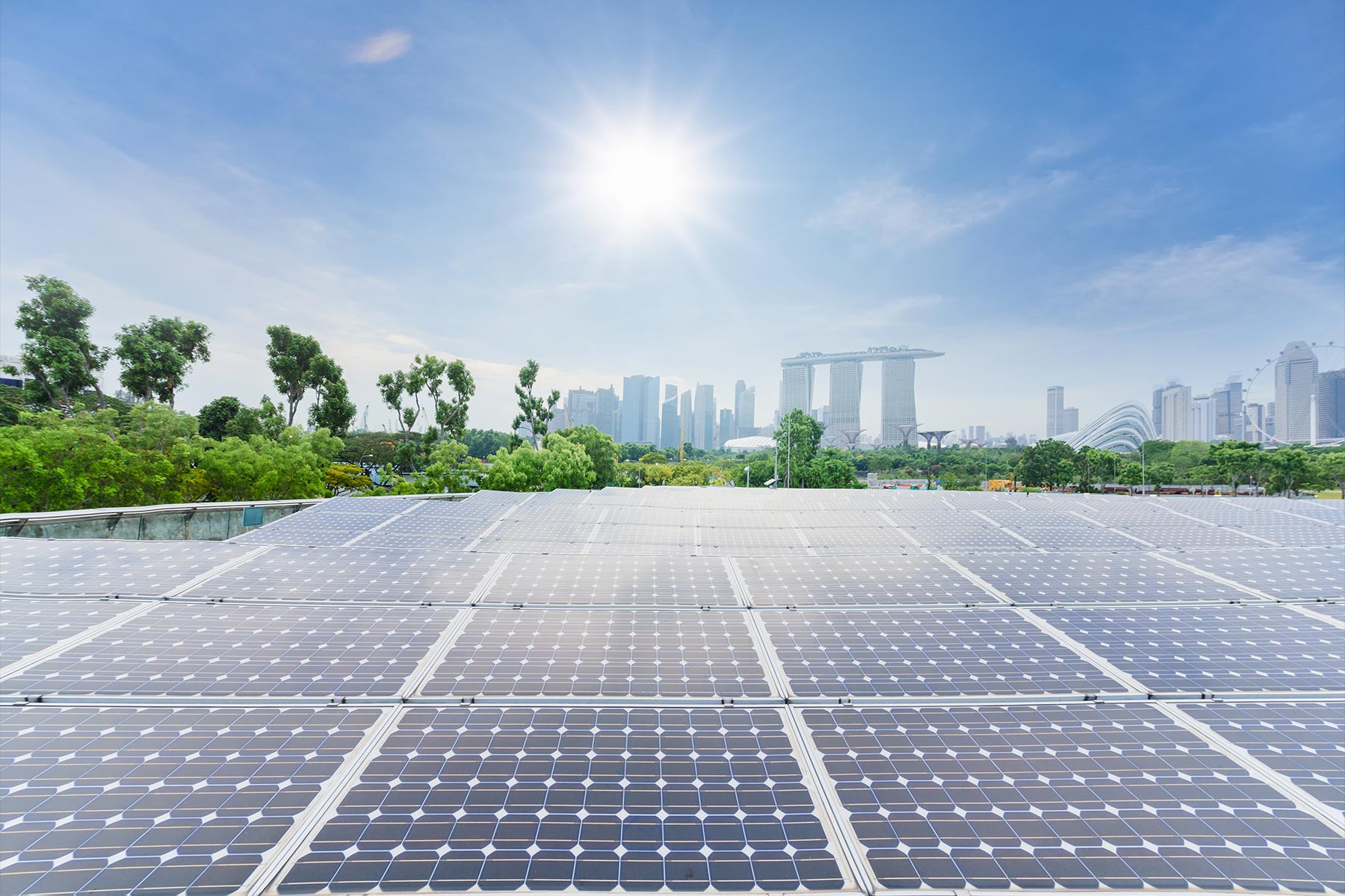 Decentralized Solar Grids: The Future of Energy Access